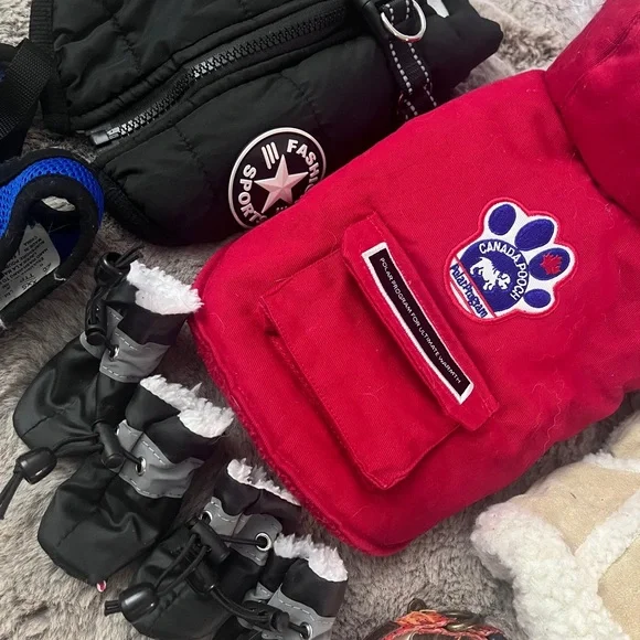 Small Dog Winter Accessory Set - Picture 2 of 6